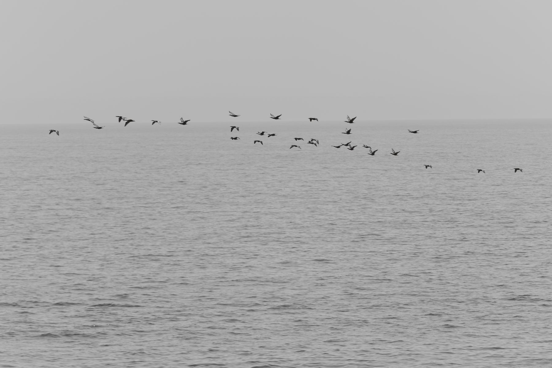 Meg Baker photography — selected work