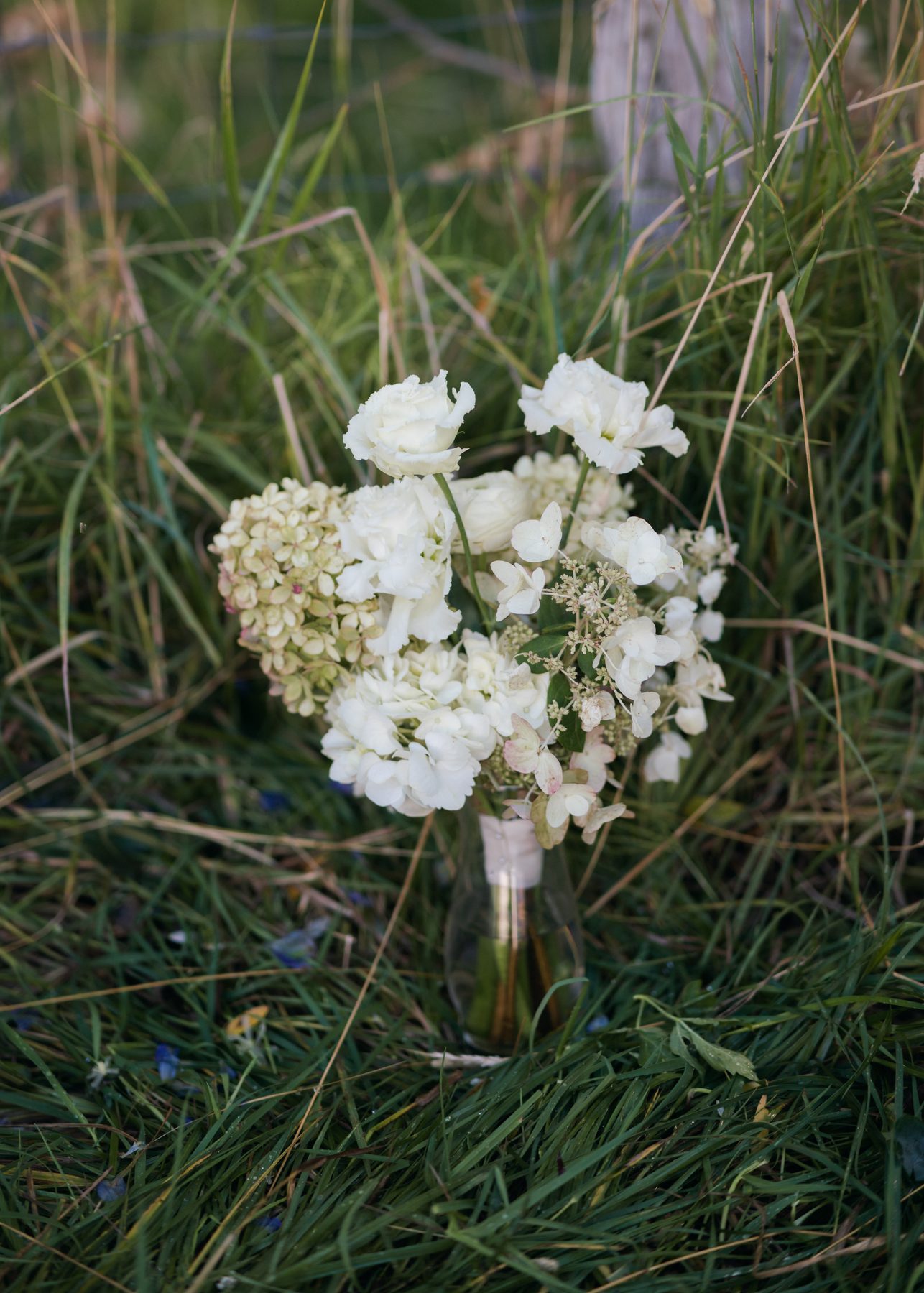 A Mountain Wedding — Meg Baker Photography