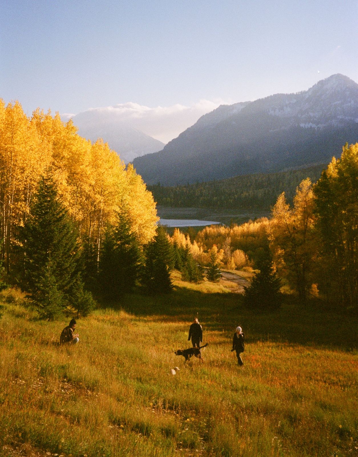 Wedding photograph — 12